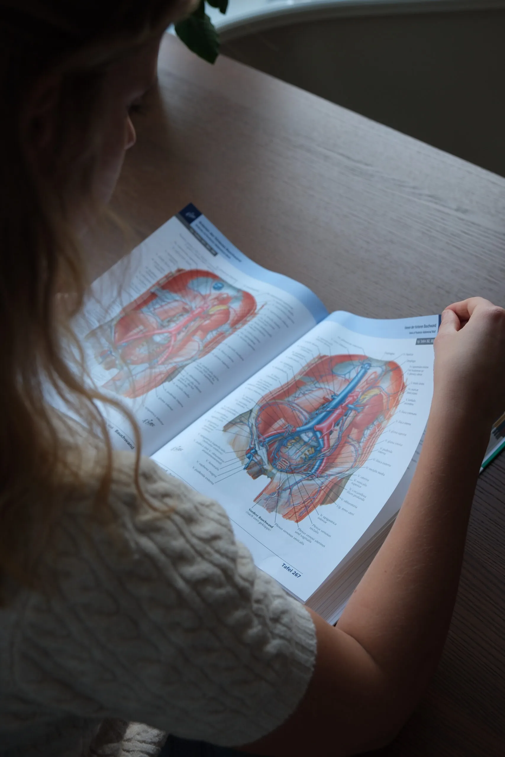 Tarieven voor holistische fysiotherapie in Den Haag | Nienke Priem